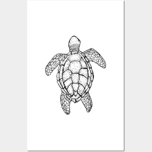 Sea Turtle Posters and Art